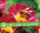 Book cover of: Let's Look at Summer