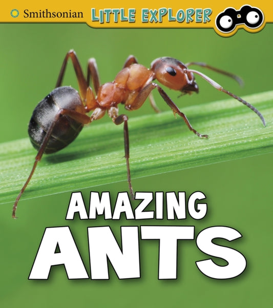 Book cover of: Amazing Ants. By: Megan Cooley Peterson
