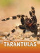 Book cover of: Tarantulas