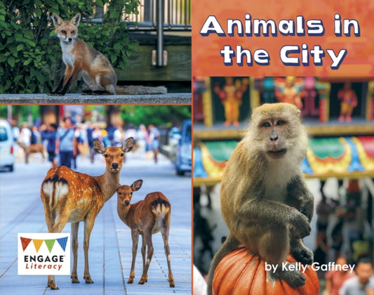 Book cover of: Animals in the City. By: Kelly Gaffney
