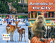 Book cover of: Animals in the City. By: Kelly Gaffney