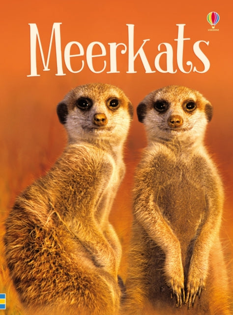 Book cover of: Meerkats. By: James Maclaine