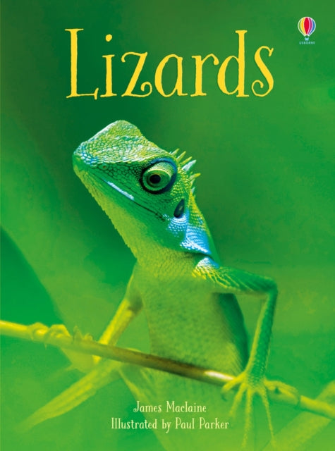 Book cover of: Lizards. By: James Maclaine