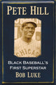 Book cover of: Pete Hill. By: Bob Luke
