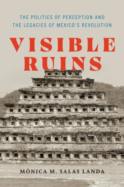 Book cover of: Visible Ruins. By: Mónica M. Salas Landa