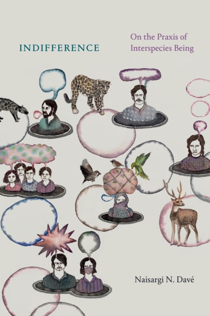 Book cover of: Indifference. By: Naisargi N. Davé