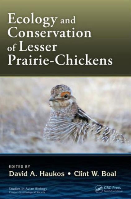 Book cover of: Ecology and Conservation of Lesser Prairie-Chickens. By: David A. Haukos