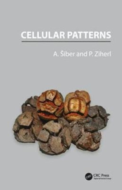 Book cover of: Cellular Patterns. By: Antonio Siber