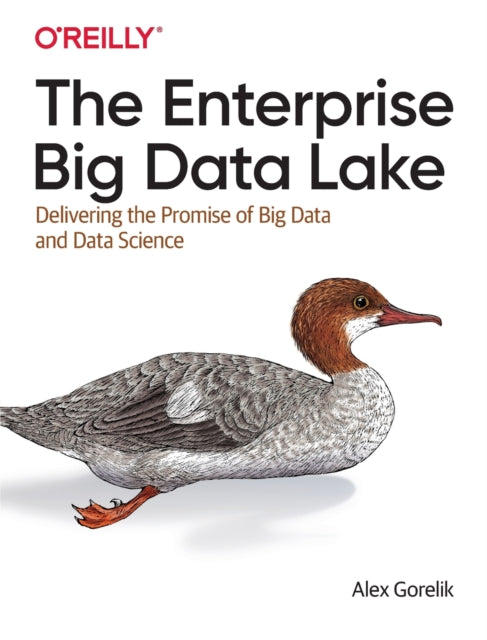 Book cover of: Enterprise Big Data Lake. By: Alex Gorelik
