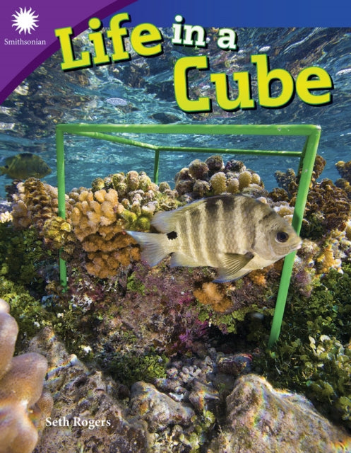 Book cover of: Life in a Cube. By: Seth Rogers