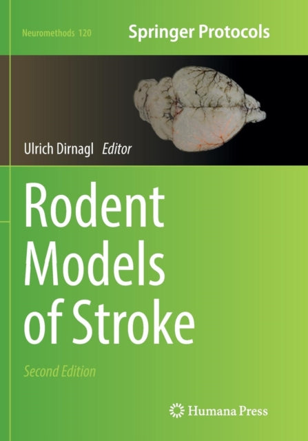 Book cover of: Rodent Models of Stroke. By: Ulrich Dirnagl
