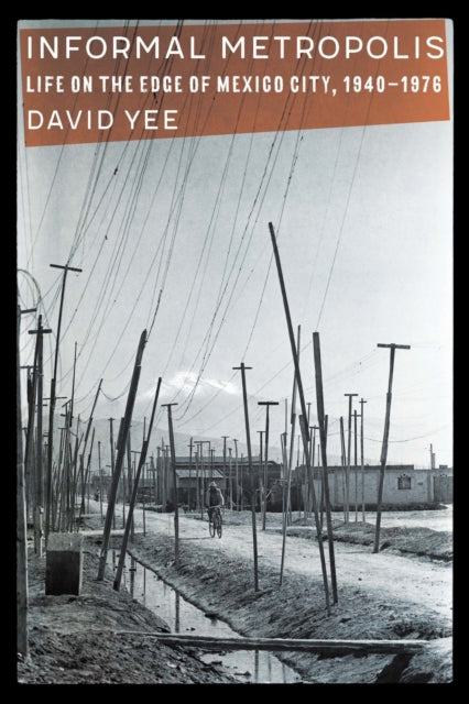 Book cover of: Informal Metropolis. By: David Yee