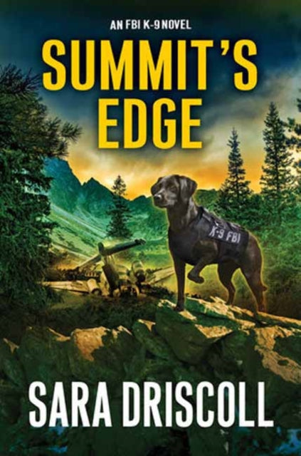 Book cover of: Summit’s Edge. By: Sara Driscoll