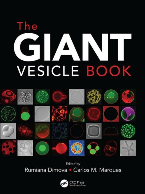 Book cover of: Giant Vesicle Book. By: Rumiana Dimova