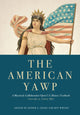 Book cover of: American Yawp