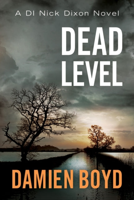Book cover of: Dead Level. By: Damien Boyd