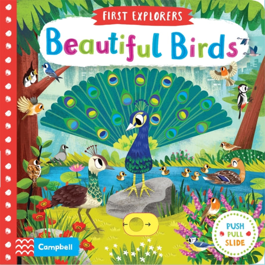 Beautiful Birds 9781509898336 Chorkung