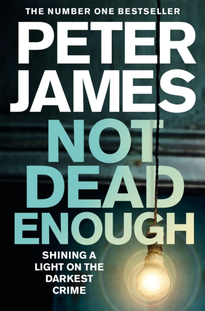 Not Dead Enough 9781509898848 James, Peter