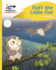 Book cover of: Reading Planet - Fluff the Little Owl - Yellow Plus: Rocket Phonics. By: Catherine Baker