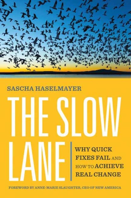 Book cover of: Slow Lane. By: Sascha Haselmayer