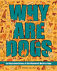 Book cover of: Why Are Dogs. By: Brittany Long Olsen