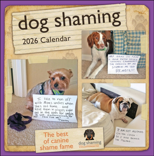 Book cover of: Dog Shaming 2026 Wall Calendar