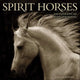 Book cover of: Spirit Horses 2026 Wall Calendar by Tony Stromberg