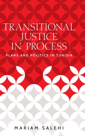 Transitional Justice in Process
