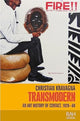 Book cover of: Transmodern. By: Christian Kravagna