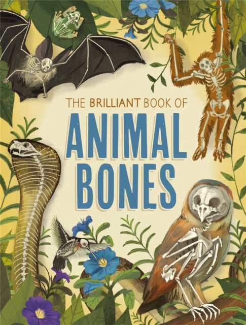 Book cover of: Brilliant Book of Animal Bones. By: Anna Claybourne