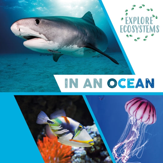 Book cover of: Explore Ecosystems: In an Ocean. By: Sarah Ridley