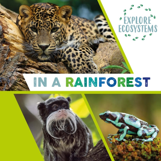 Book cover of: Explore Ecosystems: In a Rainforest. By: Sarah Ridley