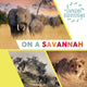 Book cover of: Explore Ecosystems: On a Savannah. By: Sarah Ridley