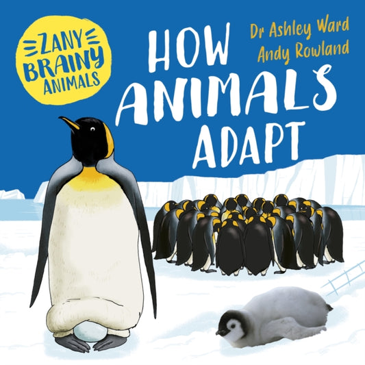 Zany Brainy Animals: How Animals Adapt 9781526323958 Ashley Ward