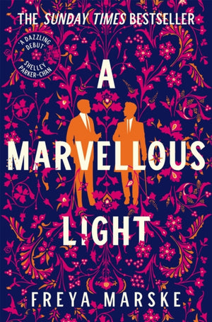 Marvellous Light, A dazzling, queer romantic fantasy