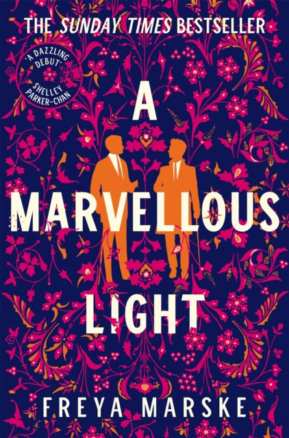 Marvellous Light, A dazzling, queer romantic fantasy
