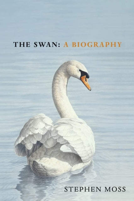 Book cover of: Swan. By: Stephen Moss