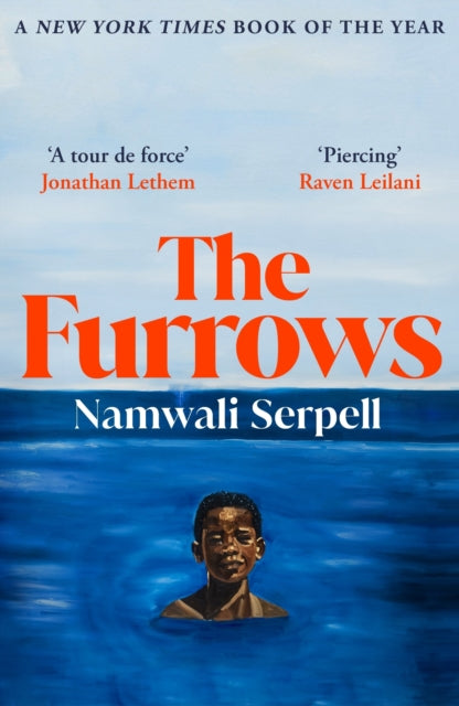 Book cover of: Furrows. By: Namwali Serpell