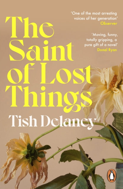 Book cover of: Saint of Lost Things. By: Tish Delaney