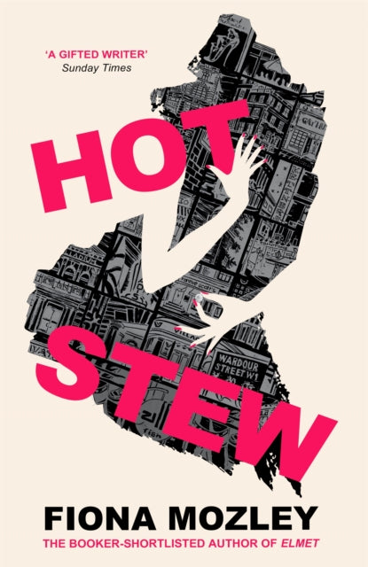 Book cover of: Hot Stew. By: Fiona Mozley