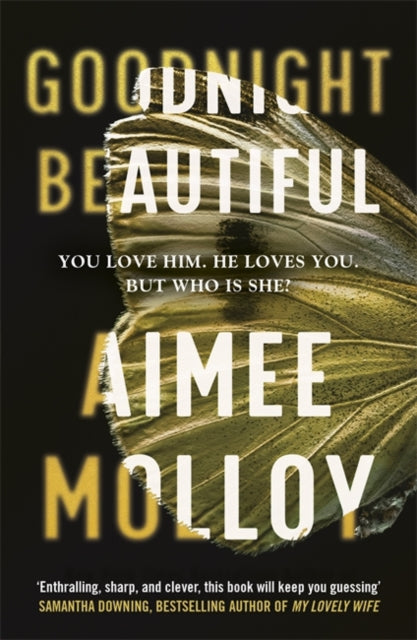 Book cover of: Goodnight, Beautiful. By: Aimee Molloy
