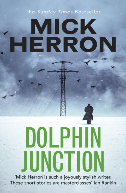 Book cover of: Dolphin Junction. By: Mick Herron