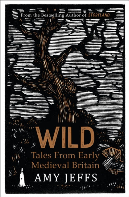 Wild, Tales from Early Medieval Britain from the Bestselling author of Storyland 9781529424263 Amy Jeffs
