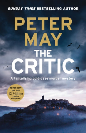Critic, A tantalising cold-case murder mystery (The Enzo Files Book 2)