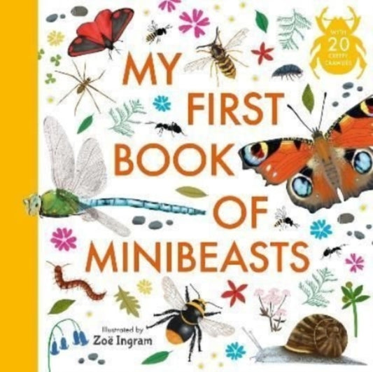 My First Book of Minibeasts 9781529501025 Zoë Ingram