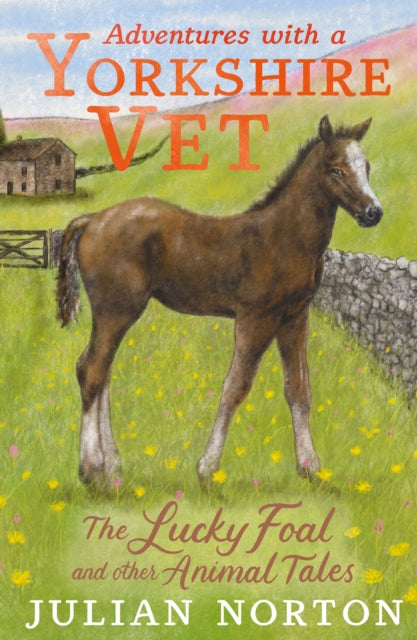 Adventures with a Yorkshire Vet: The Lucky Foal and Other Animal Tales 9781529509922 Julian Norton