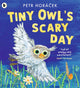 Tiny Owl's Scary Day 9781529517194 Petr Horácek