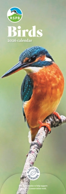 Book cover of: Rspb Birds Slim Calendar 2026