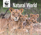 Book cover of: Wwf Natural World Box Calendar 2026