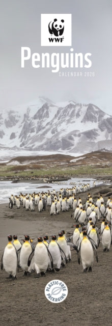 Book cover of: Wwf Penguins Slim Calendar 2026